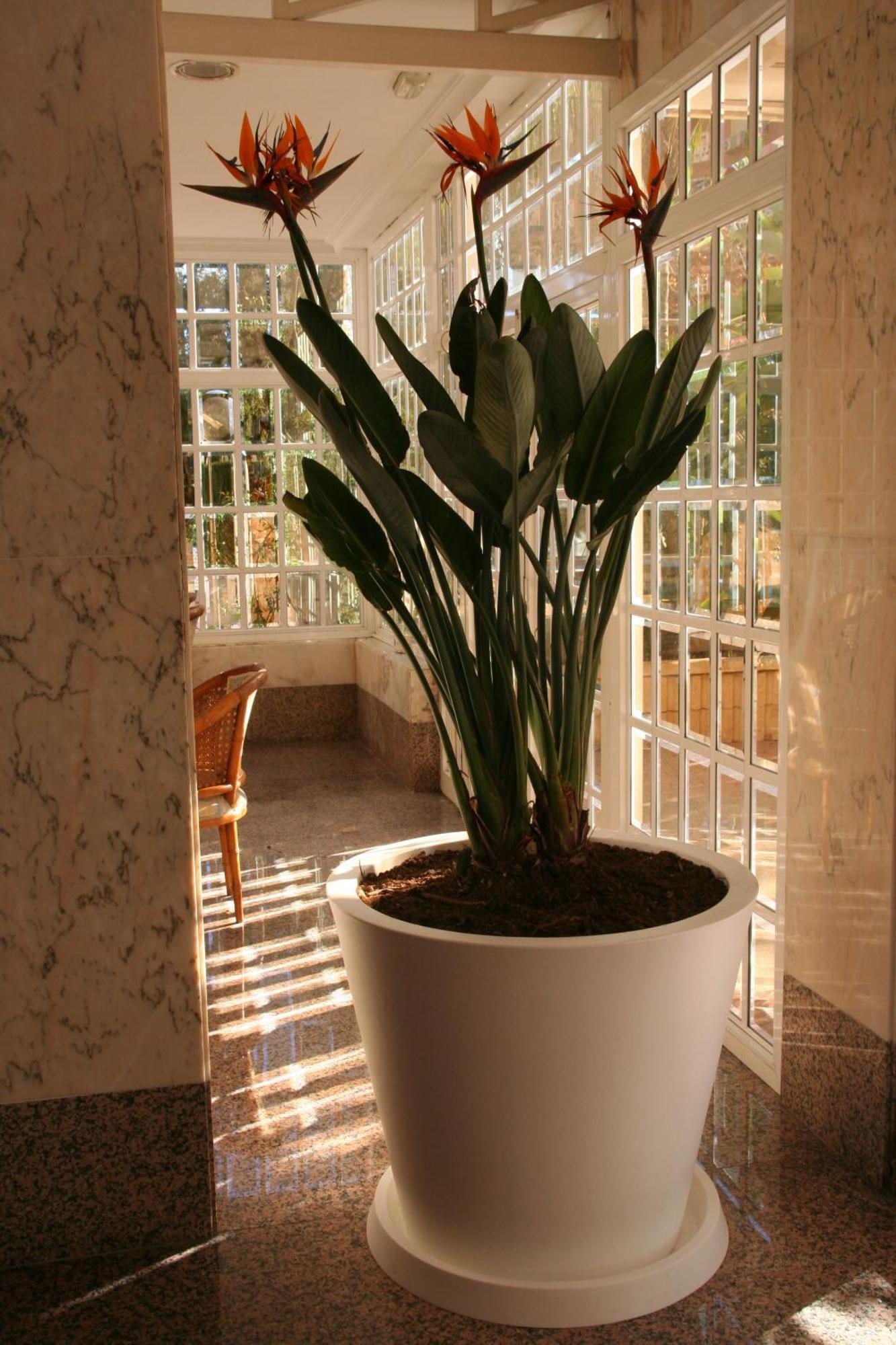 Apartamentos Maria Victoria Benidorm Luaran gambar